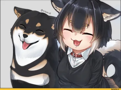 柴 / Animal Ears (Anime) (Kemonomimidae, Девушки с ушками, Anime Ears) ::  nitose :: Сиба-ину :: Anime (RDR, Reshotka Democratic Republic) :: собака  (собакен, песель, пес) :: Anime (Аниме) :: фэндомы /