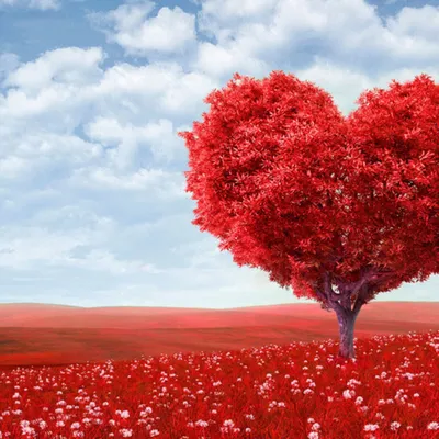 Частицы красной формы любви сердца романтические анимированные летающий фон  цикл.. сток-видео - Видео насчитывающей картина, симпатично: 198470967