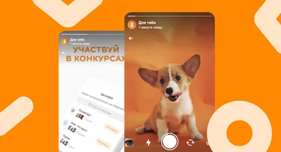 Скачать Анимированные стикеры с животными I WAStickerApps APK для Android