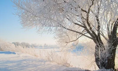 Анимированные картинки зима