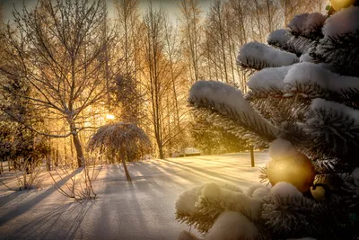 Открытие зимнего сезона «Добрая зима» в Лианозовском парке.
