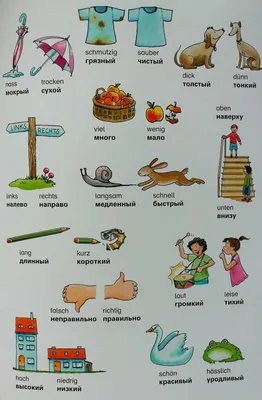 Что такое антонимы в словах русского языка