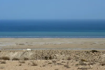 Аральское море, Каракалпакстан. Путеводитель, достопримечательности,  фотографии.