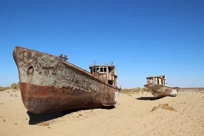 Аральское море возвращается к жизни - YouTube