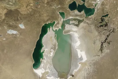 Как спасают северную часть Аральского моря | The-steppe.com