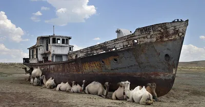 Аральское море - море которое высохло. Так ли это на самом деле?