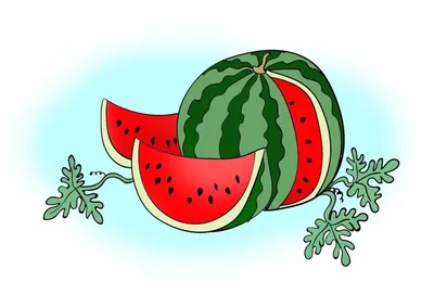 Раскраска Арбузы | Раскраски ягоды и фрукты для детей распечатать, скачать