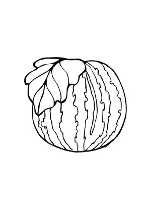 Иллюстрация Фрукты-овощи для азбуки-раскраски (выборка). в стиле