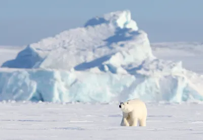 Как ведёт себя Арктика в эпоху быстрых изменений - Статьи и репортажи РГО