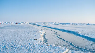 Арктика нагревается в четыре раза быстрее, чем остальной мир - 11.08.2022,  Sputnik Армения