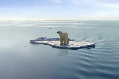 Арктика может остаться безо льда между 2040 и 2060 годами - доклад -  Российская газета