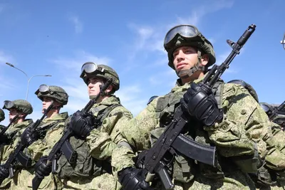 Нужна ли России полностью профессиональная армия 25 сентября 2021 года |  Нижегородская правда