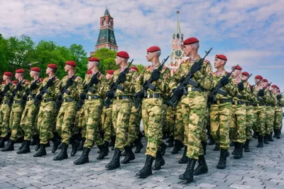 Срочную службу в армии могут начать учитывать в трудовом стаже россиян