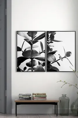 T A N Y A B. A R T on Instagram: “Черно-белые пионы Black and white peony  Картина хорошо смотрится как и в белом, так и в чёрно… | Картины, Белые  пионы, Картины роз
