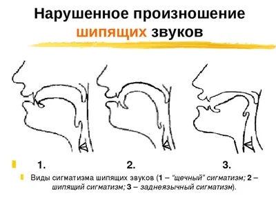 Презентация \"В гости к Маше\" (автоматизация звука Ш)