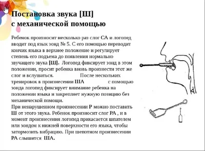 Автоматизация звука Ш - Говорунчик - сайт для заботливых родителей.