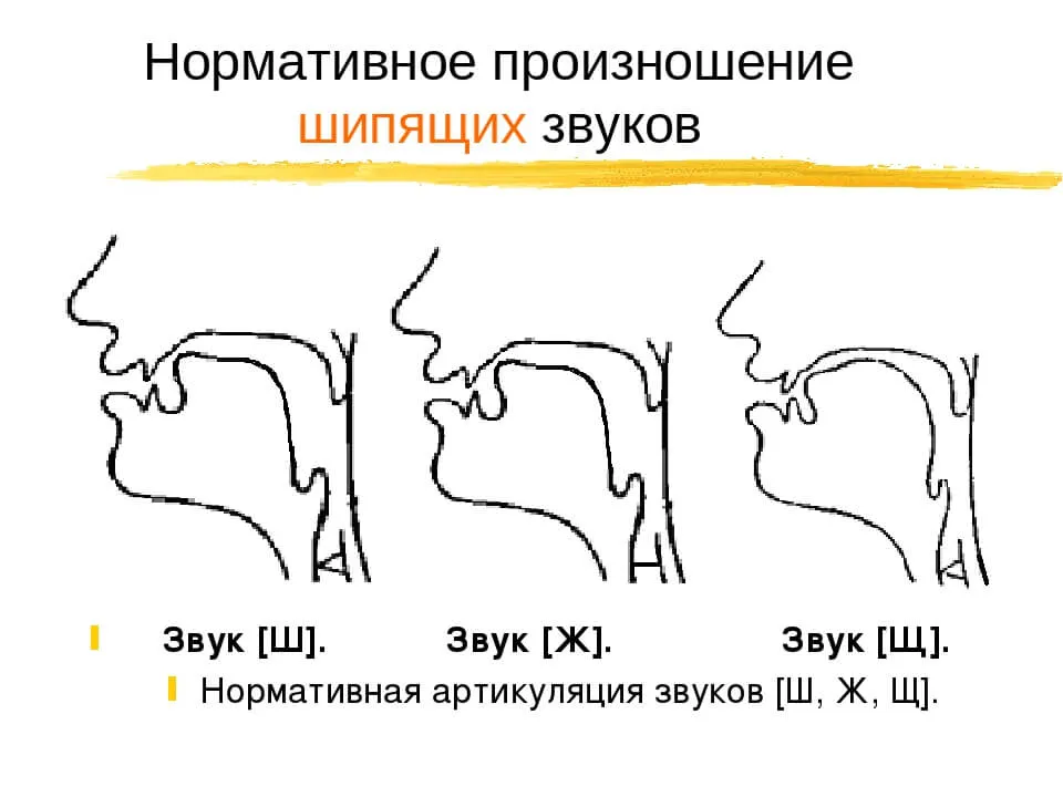 Постановка звука Ш: логопедические задания и упражнения. Блог Лого-Эксперт