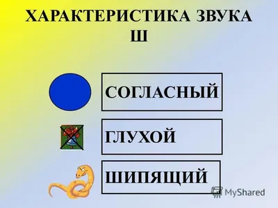 Артикуляция звуков в графическом изображ ИЗДАТЕЛЬСТВО ГНОМ 13616259 купить  за 35 400 сум в интернет-магазине Wildberries