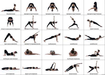 Асаны йоги для начинающих и продолжающих. Сколько их, откуда взялись эти  позы, чем заканчивается йога и можно ли заниматься самостоятельно