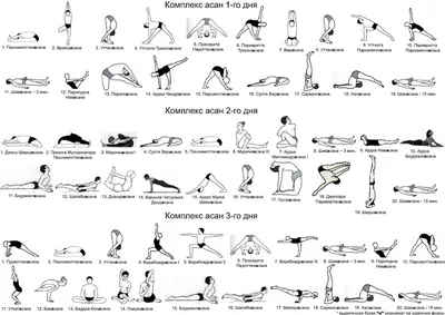 Фиксированные последовательности разных школ йоги. Сайт Киселёвых Алексея и  Татьяны