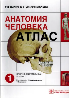 Атлас аллергических болезней. Краткое иллюстрированное руководство  Ненашева, Бодня, Терехова 9785604497548