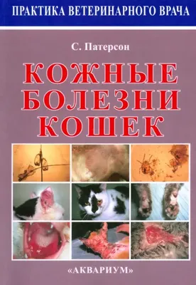 Эпидермальный или сально-железистый? — Курсы по дерматоскопии | Юрий Сергеев