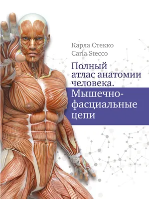 Атлас клинической дерматовенерологии 2010 г. (Святенко, Франкенберг,  Шлопов) — Интернет магазин книг профессора Святенко