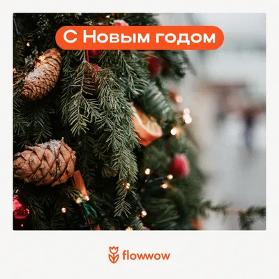 Самые необычные новогодние елки в мире (ФОТО): читать на Golos.ua