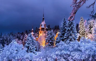 Новогодние картинки (98 фото)