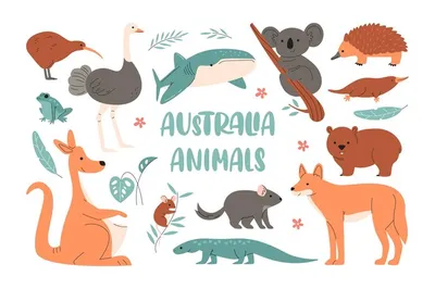 Австралия внесла коал в список исчезающих видов животных | Sobaka.ru