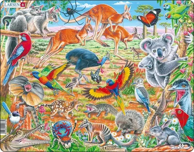 Убийственная австралийская фауна: ядовито не значит | Perito