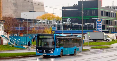 Аренда автобуса в Москве. Арендовать автобус с водителем недорого.