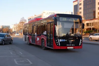 Челябинск получил 15 новых автобусов