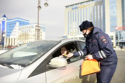 Автоледи на «Лексусе» обматерила полицейских и получила штраф - Сопки -  Главное из жизни Дальнего Востока