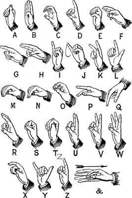 язык жестов - английский | Алфавит, Изучать язык жестов, Язык жестов