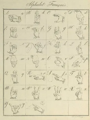 Sign language #guide | Asl learning, Sign language basics, Learn sign  language