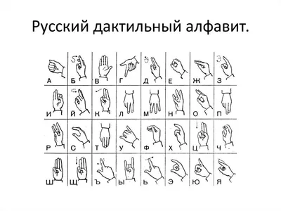 Векторный Язык Глухонемых Рук Американский Язык Знаков Asl Alphabet Art  Векторное изображение ©romanchik.ruslan@gmail.com 209132658