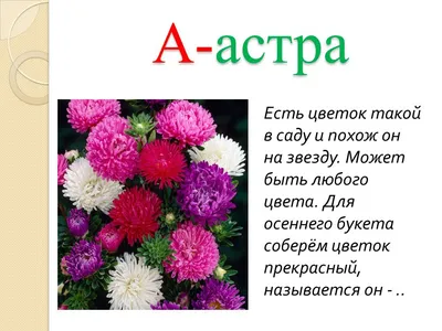 Плакат \"Азбука цвета\" А4 ламинация арт. 4706 купить в Челябинске по низкой  цене с доставкой по России | Интернет-магазин «Раскрась детство»