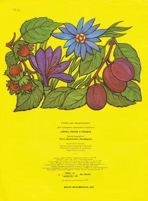 Азбука цветов, магазин цветов, ул. Орджоникидзе, 52, Санкт-Петербург —  Яндекс Карты