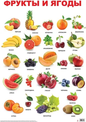 Азбука в картинках фрукты
