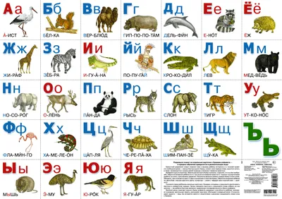 Алфавит с животными Азбука с картинками с игровым полем (61дет)