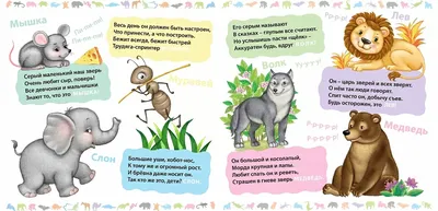 Загадки о животных - купить с доставкой по Москве и РФ по низкой цене |  Официальный сайт издательства Робинс