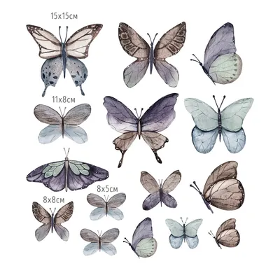 Бабочки (выпуск 1)