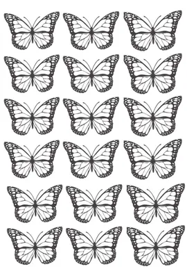 Бабочки | Шаблон бабочка, Бумажные бабочки, Хипстерские комнаты