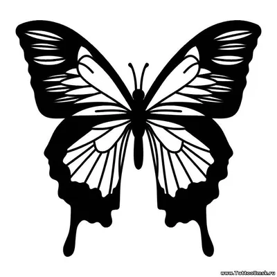 Печатайте картинки с бабочками на принтере