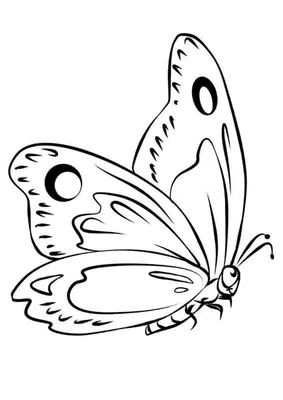 Скачать или распечатать черно-белые картинки для девочек с бабочками