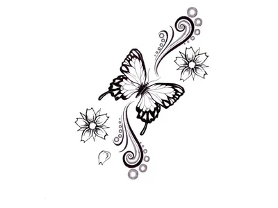 Раскраска бабочки . Черно-белые картинки бабочки для раскрашивания.  Обучающие раскраски.