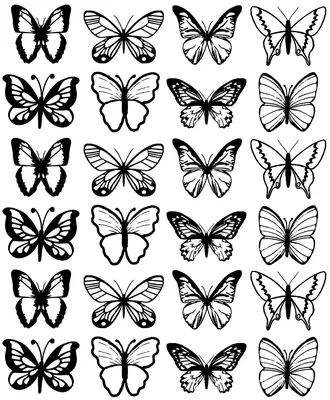 Бабочка черно-белая, бабочка монарх, бумага, наклейка, наклейка, черно-белая,  Мотылек, крыло, почтовые марки, живопись, Черное и белое, кисть с бабочкой,  бабочки с кистью png | PNGWing