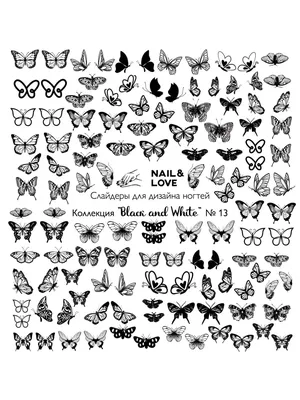 Бабочка монарх Черно-белый рисунок Раскраска, бабочка, угол, белый png |  PNGEgg