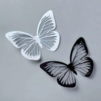 Рисунок бабочки силуэт - 75 фото